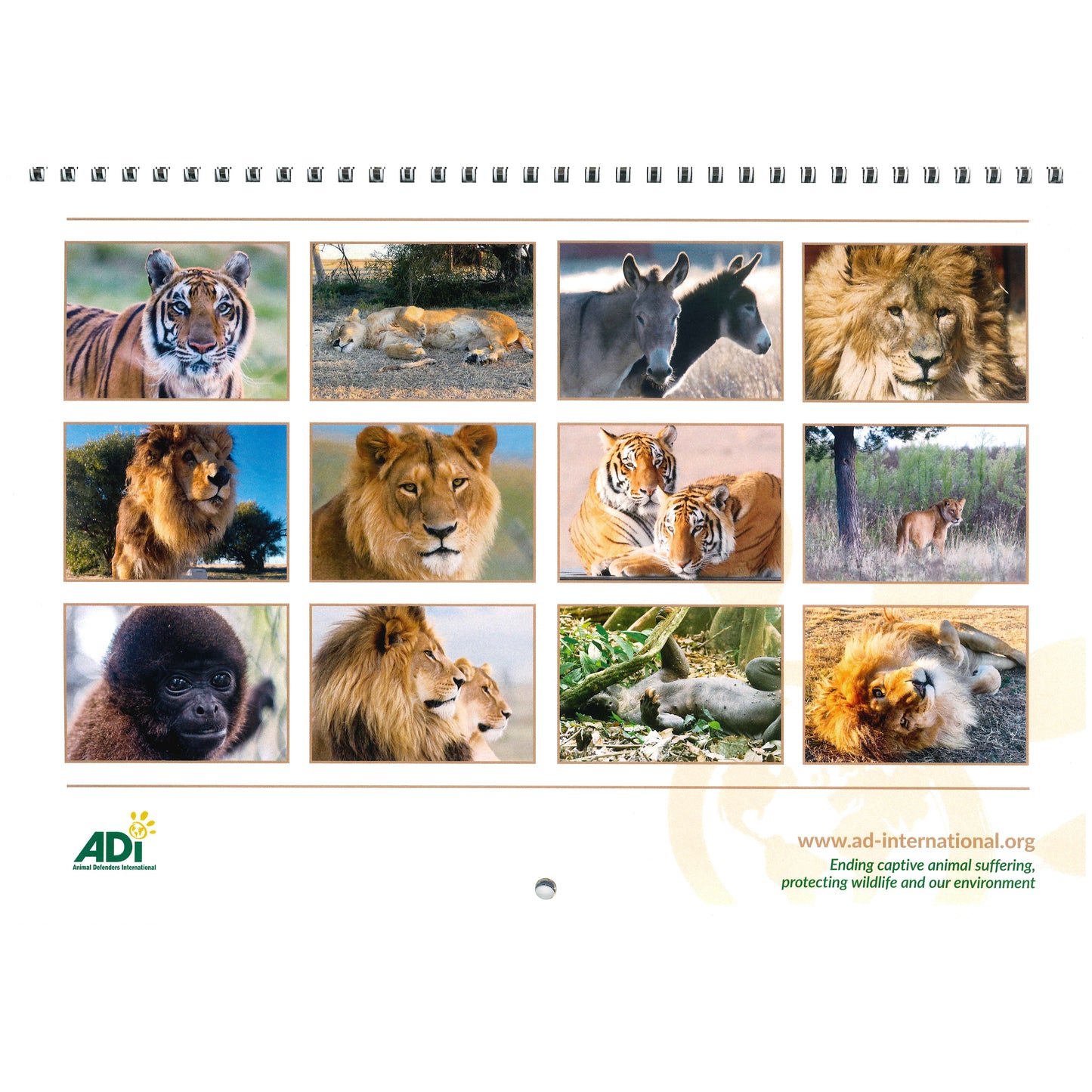 ADI Animal Rescue Calendar 2024