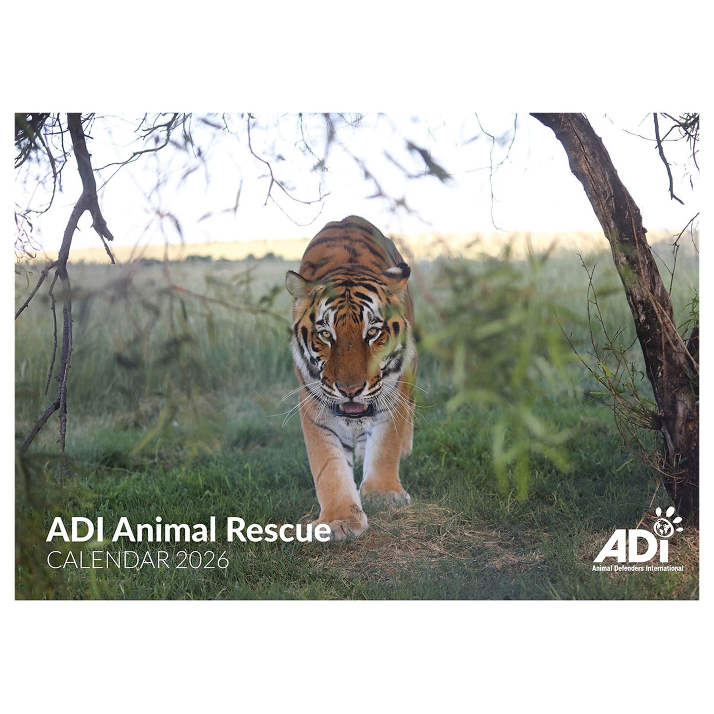 ADI Animal Rescue Calendar 2026
