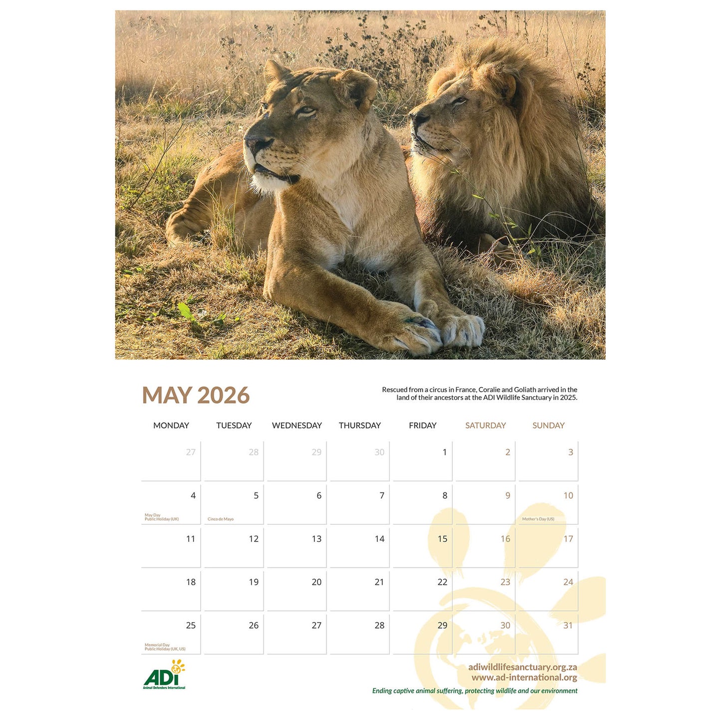ADI Animal Rescue Calendar 2026