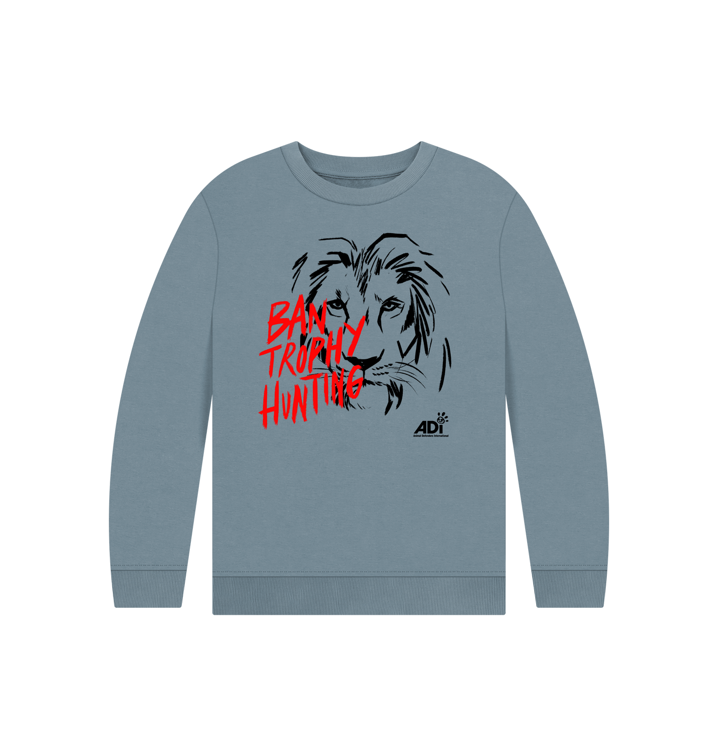 Stone Blue Printed Kids Jumper Front
