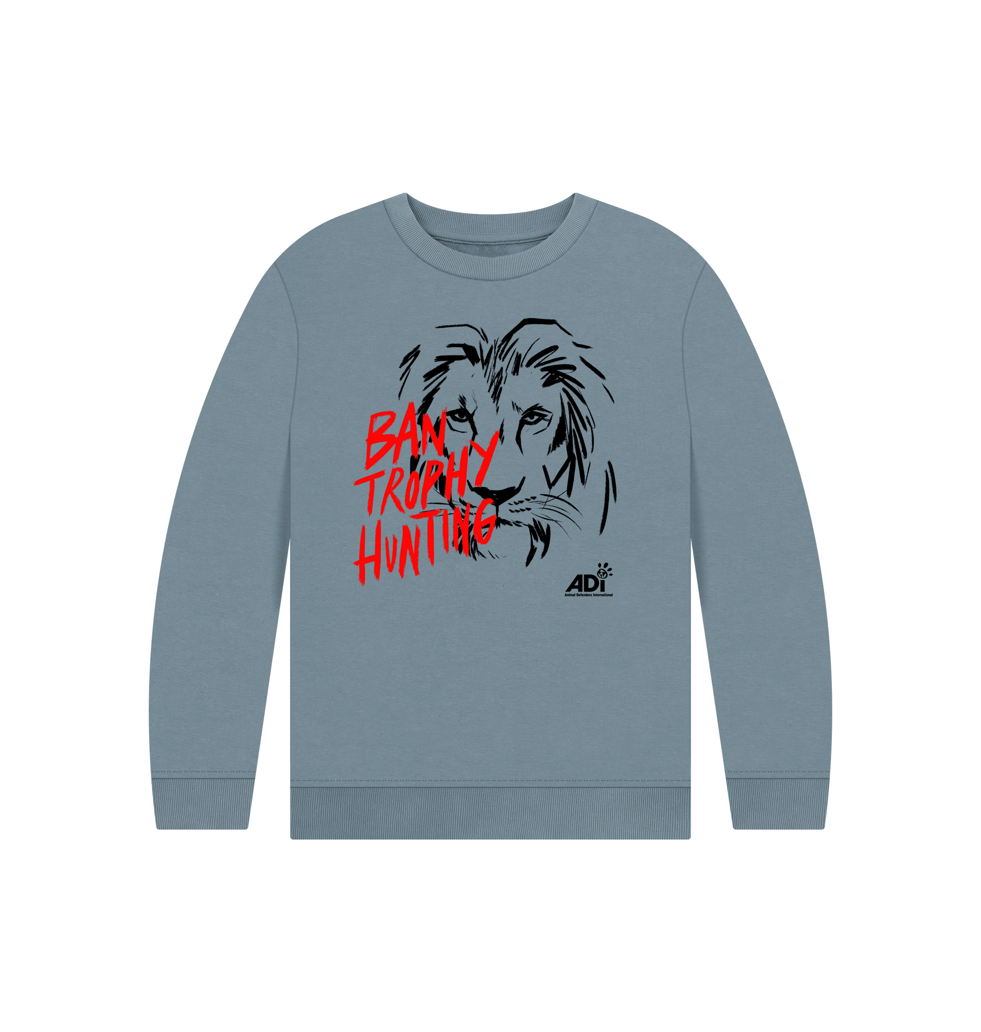 Stone Blue Printed Kids Jumper Front