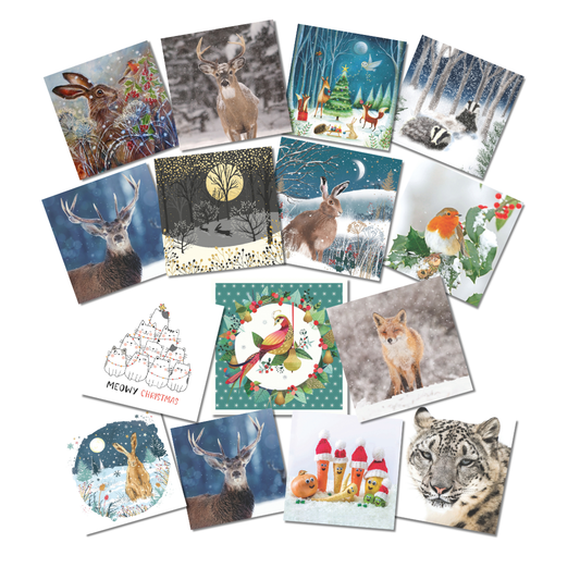 Christmas Card assortment