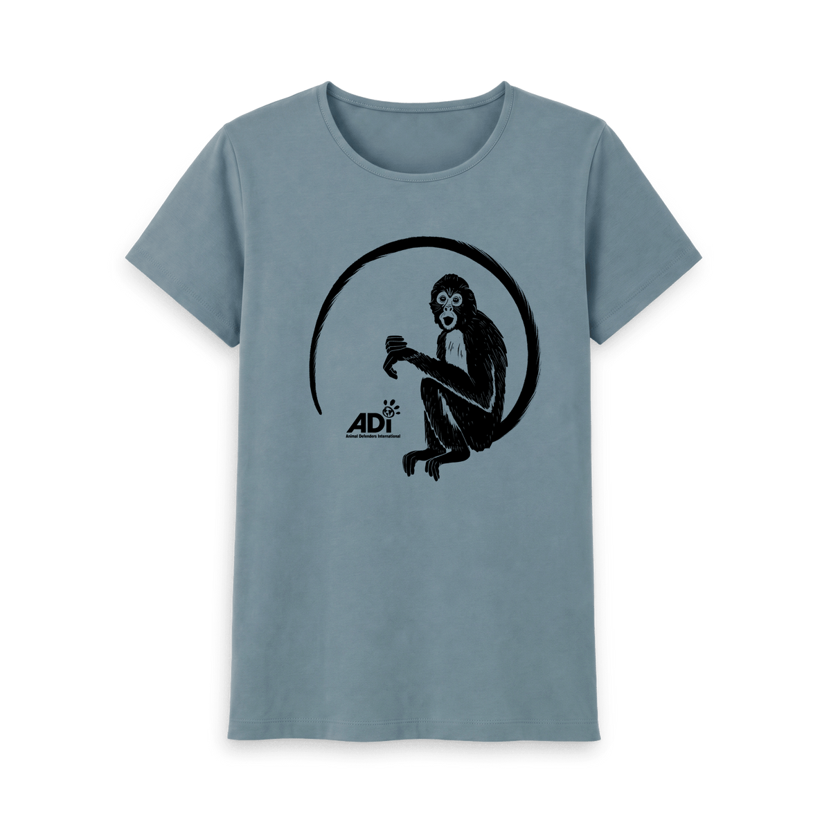 Stone Blue Printed T-shirt Front