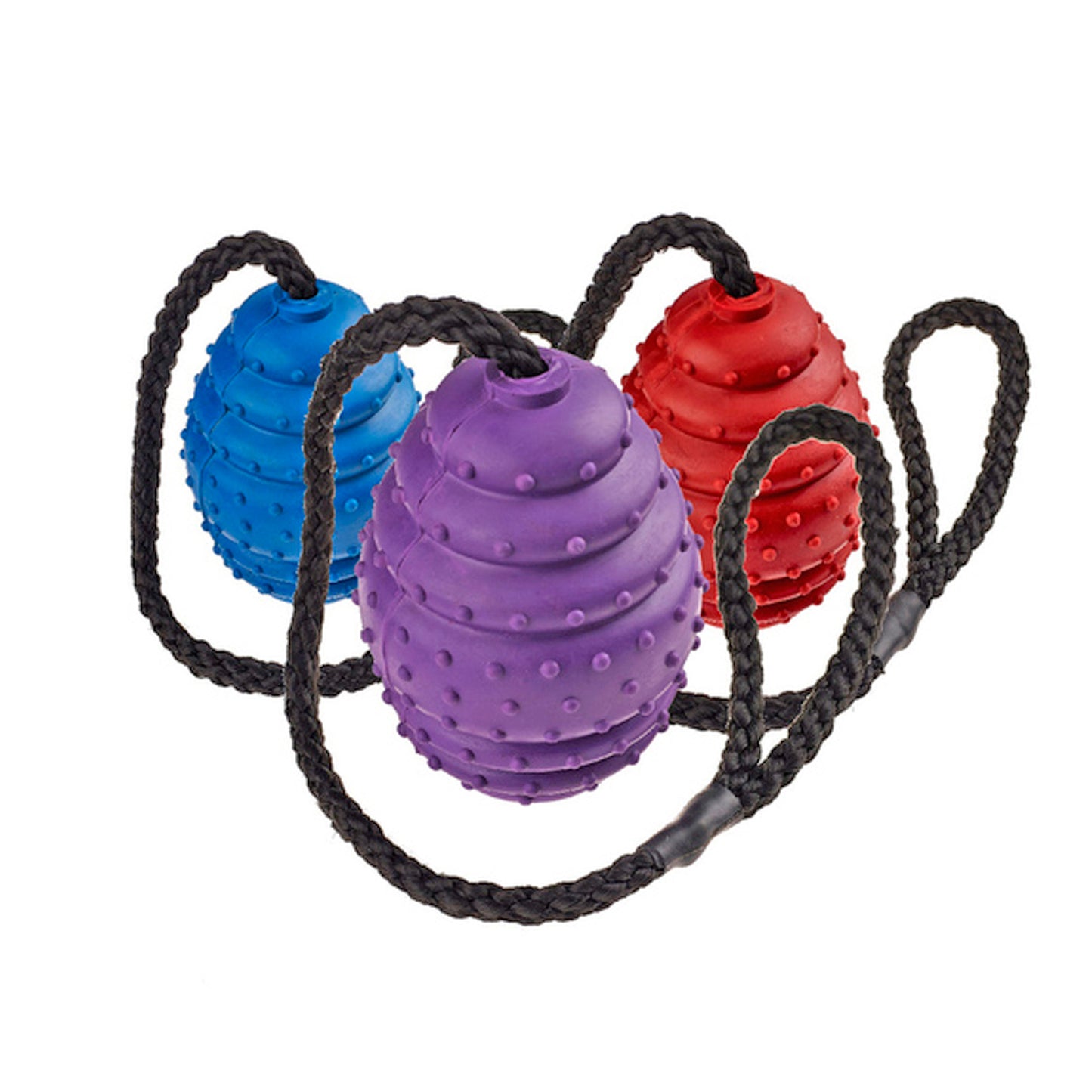 Ball on a Rope Dog Toy