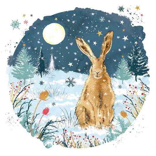 Hare on Winter's Eve Christmas cards