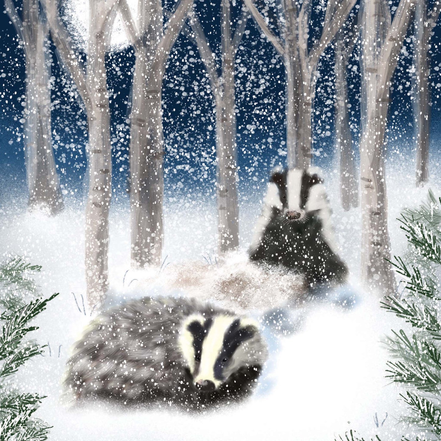 Winter Badgers Christmas cards
